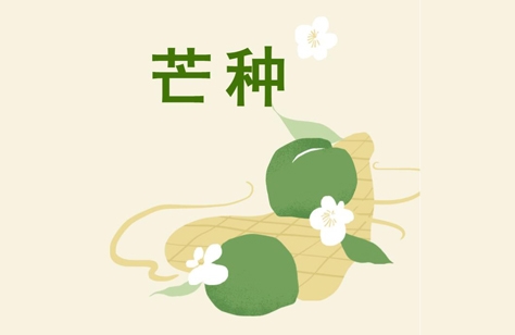 創(chuàng)洲木門(mén)丨芒種，是豐收也象征著新生
